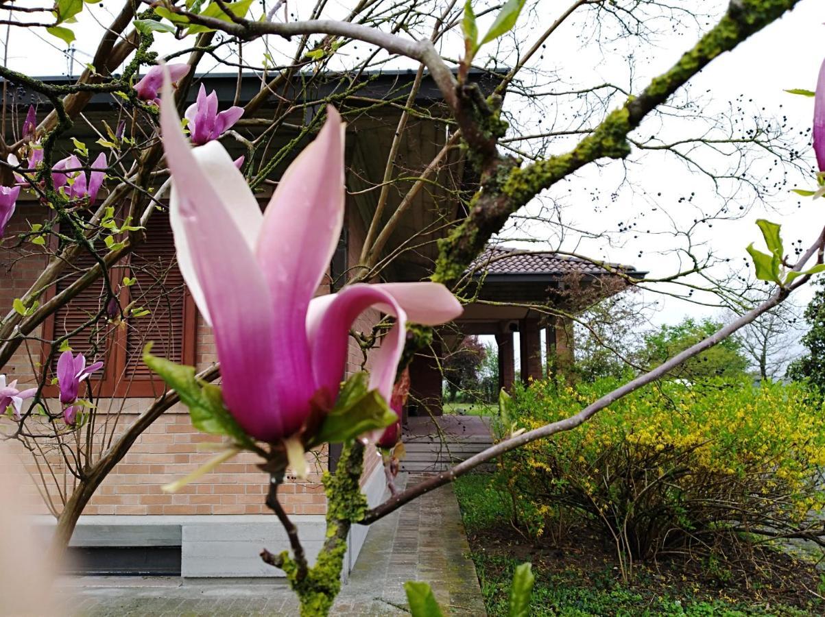 Agriturismo I Quercioli ปาร์มา ภายนอก รูปภาพ